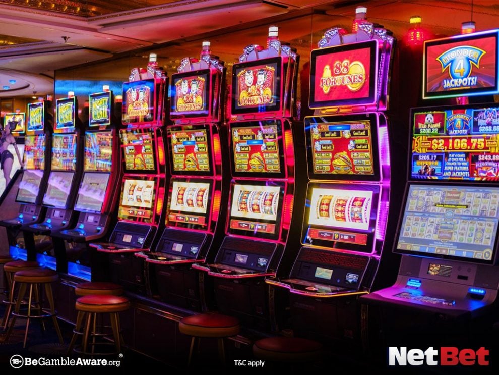 ubbet|Bingo Online – Participe ao Vivo no Cassino Internacional